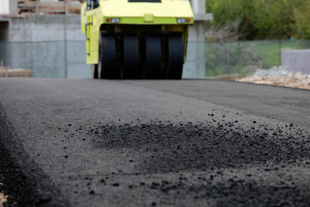 Best Driveway Paving Contractor  in Nekoosa, WI