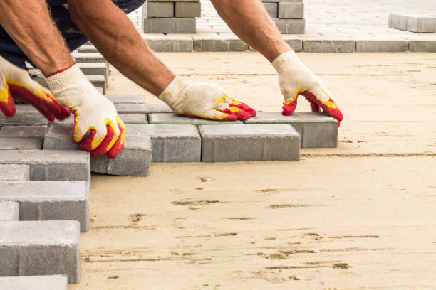 Best Driveway Repair Near Me  in Nekoosa, WI